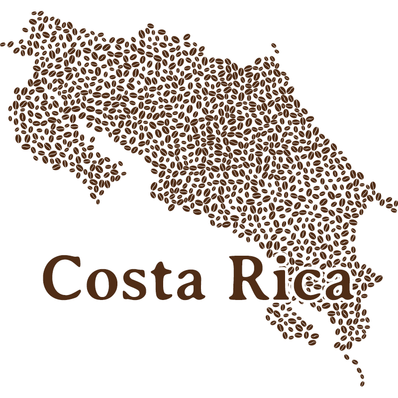 Costa Rica Tarrazú Finca El Mango